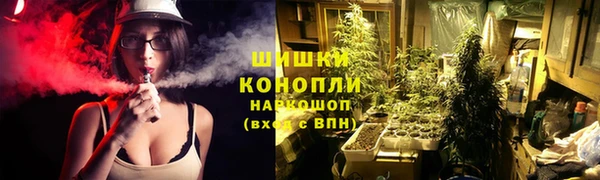 PSILOCYBIN Зеленокумск