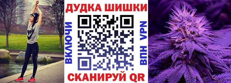 Каннабис ГИДРОПОН  магазин продажи наркотиков  Бакал 